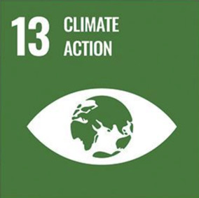 ícono acción climática
